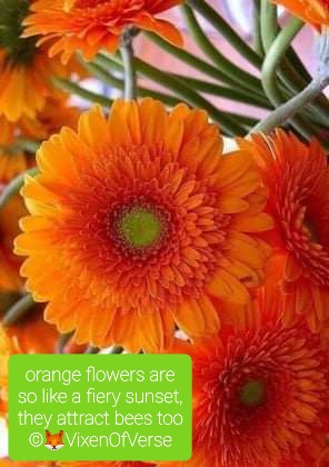 The Daily Haiku – 23rd Haiga x 3