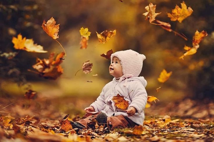 The Daily Haiku🌿- 📚 Monthly Theme, September 2022 – Leaves 9.