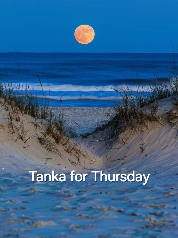 🌿❤️🌻Triolet for Thursday 42 – Baltic Amber🌻❤️🌿