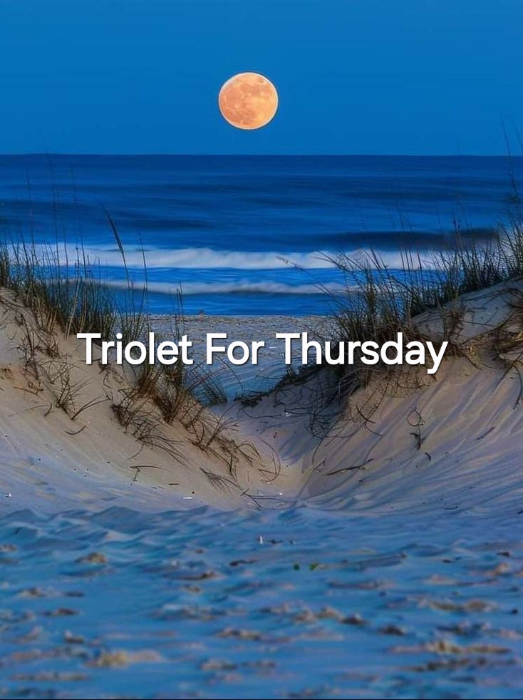 🌿❤️🌻Triolet for Thursday 44 – Recycling🌻❤️🌿