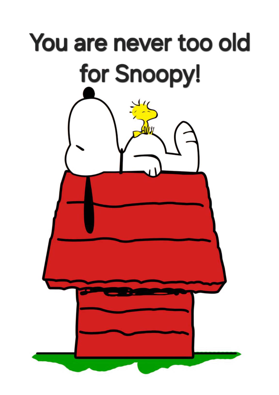 🌍👀✈️You Are Never Too Old For Snoopy 🌍👀✈️
